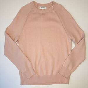 Banana Republic Factory Soft Crewneck Pink Sweater Men's Small